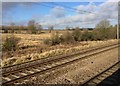 View from a Peterborough-London train - Heathland near Arlesey