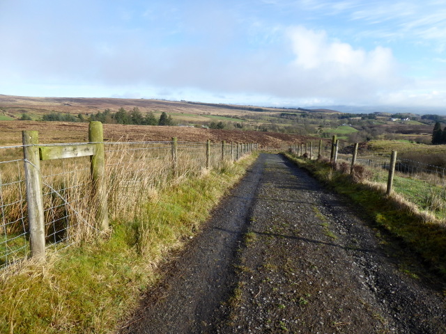 Lane, Tattysallagh © Kenneth Allen cc-by-sa/2.0 :: Geograph Ireland