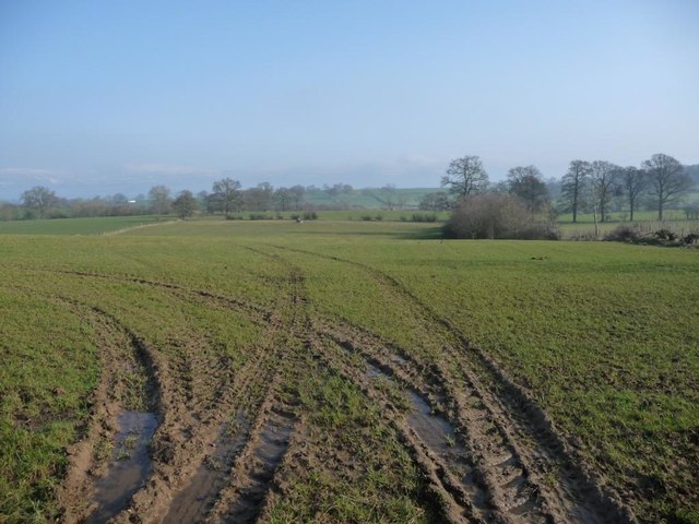 Farmland between Coat Sike and the River Lyvennet