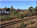 View from a Peterborough-London train - Knebworth