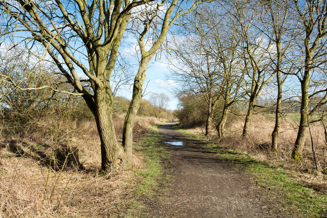 W2W Cycle route near to East Rainton