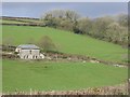 Fields, woodland and house at Lower Bowcombe