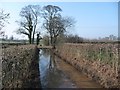 Flooded lane between Peaslands and Littlebeck