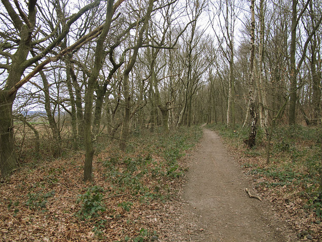 Bridleway through Bell Wood
