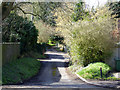 Dead-end road, Sutton End