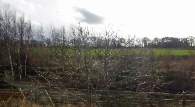 View from a Virgin East Coast train heading south #6
