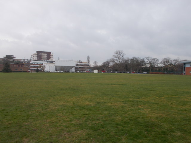 Hull University Cricket Club