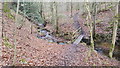 Footbridge over Threepwood Burn in Dinnetley Wood