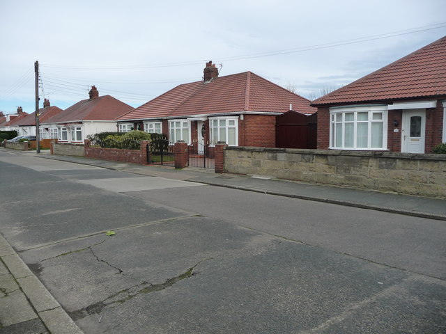 Bungalows in Summerhill Road