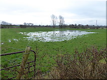 H5467 : Flooded ground, Coolesker by Kenneth  Allen