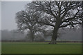 Stroud District : Grassy Field