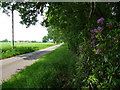 Greatheath Road near North Elmham