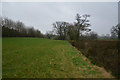 Stroud District : Grassy Field