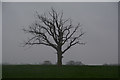 Stroud District : Grassy Field