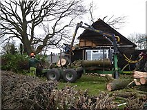 SO8742 : Cutting up the fallen tree #2 by Philip Halling