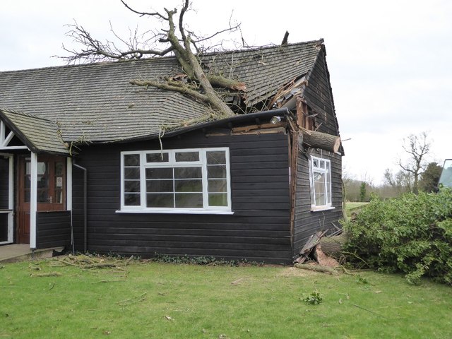 Fallen tree on Earl's Croome Village Hall