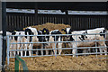 Slimbridge : Rectory Farm