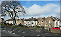 Council houses alongside Clough Lane, Rastrick