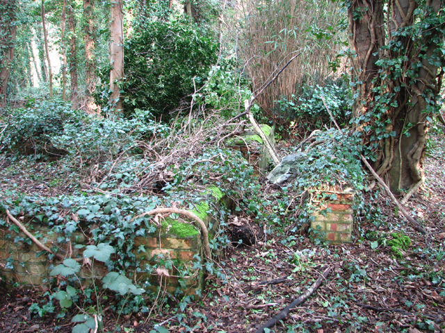 WW2 remains of a military hut