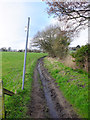 Footpath between Wakefields and Standish Wood Lane