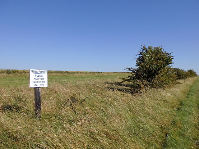 East Hendred Down, Vale of White Horse - area information, map, walks ...