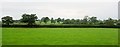 ST6128 : Farmland near North Barrow by Derek Harper