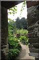 SX8257 : Walled garden, Sharpham by Derek Harper