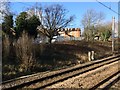 View from a Peterborough-London train - Housing through the trees at Brunswick Park