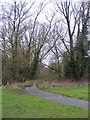 Alder Coppice Path