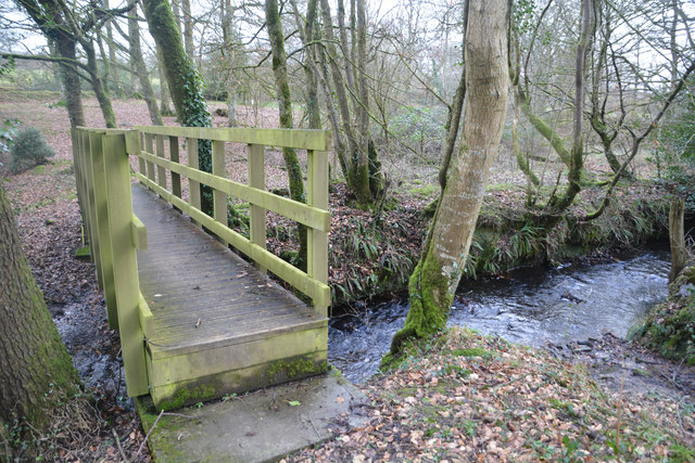 North Devon : Stream & Footbridge