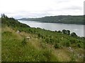 NH4114 : A view over Loch Ness by Richard Webb