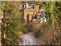 SJ8382 : River Bollin at Quarry Bank Mill by David Dixon