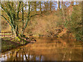 SJ8382 : River Bollin above the Weir at Quarry Bank Mill by David Dixon