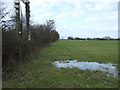 Grazing and hedgerow off Shilton Lane