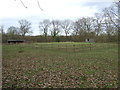 Paddock and stables off Bazzard Road