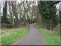 Path beside Wren Brook