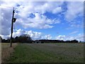 TF4208 : Rural power supply near Wisbech St Mary by Richard Humphrey