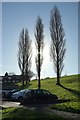 Poplars, Shiphay