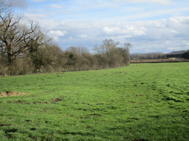 Grass field by Orchard Cottage © Jonathan Thacker cc-by-sa/2.0 ...