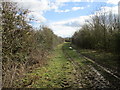 Bridleway towards Aunsby