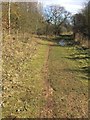 Idle Valley nature reserve