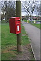 Elizabeth II postbox on Lutterworth Road, Whitestone