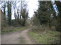 Riverside path, Leamington Spa