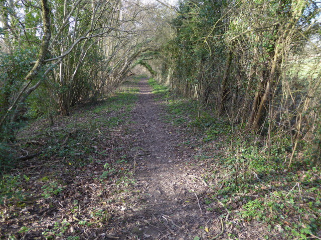 Short bit of footpath in West Sussex (1)