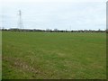 Farmland near Sinton Green