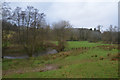 North Devon : Grassy Field