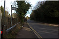 Carlton Road looking northwards