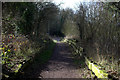 Nickey Line path approaching Redbourn Lane