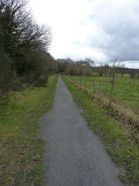 Path on the east side of Swan Pool