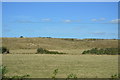 Pevensey Levels